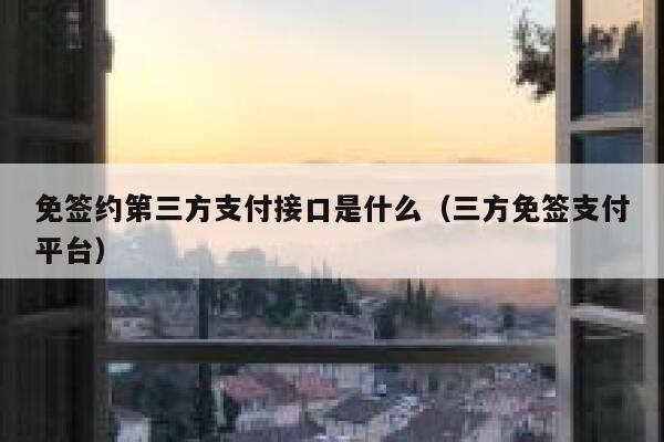 免签约第三方支付接口是什么（三方免签支付平台） 第1张