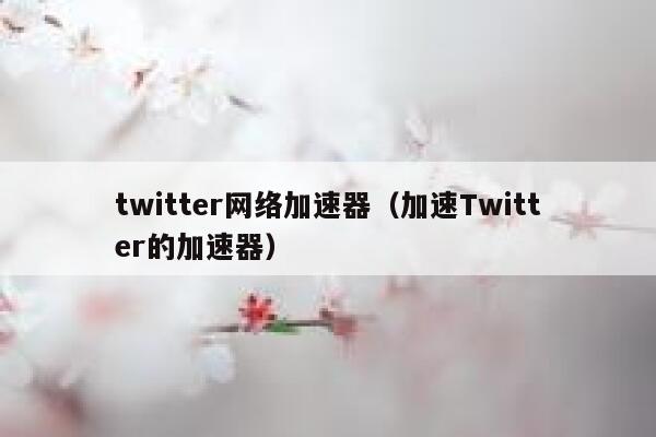 twitter网络加速器（加速Twitter的加速器） 第1张
