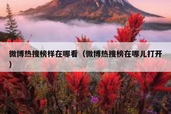 微博热搜榜样在哪看（微博热搜榜在哪儿打开） 第1张