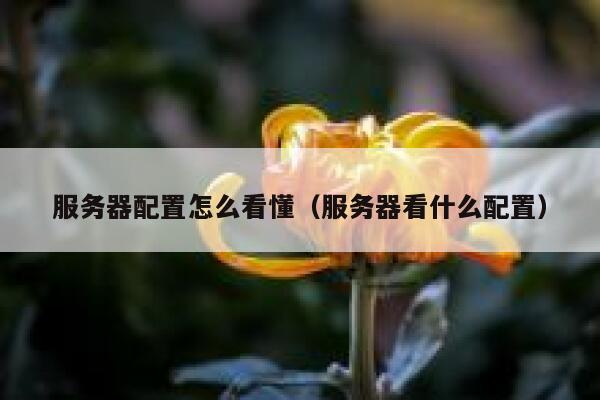 服务器配置怎么看懂（服务器看什么配置） 第1张