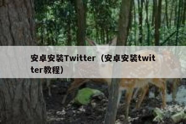 安卓安装Twitter（安卓安装twitter教程） 第1张