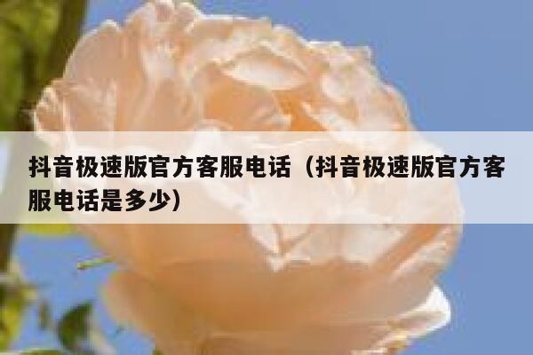 抖音极速版官方客服电话（抖音极速版官方客服电话是多少） 第1张