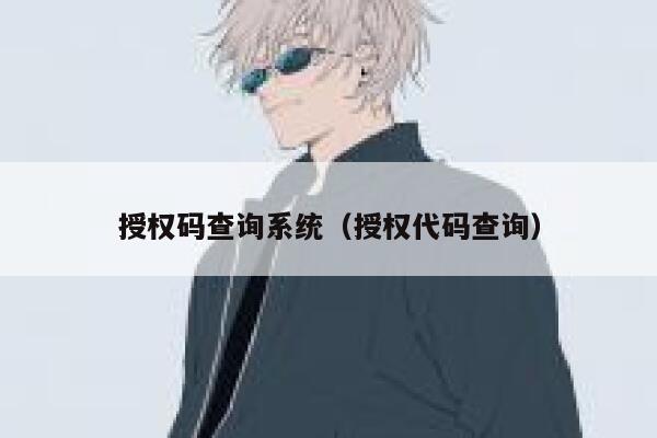 授权码查询系统（授权代码查询） 第1张