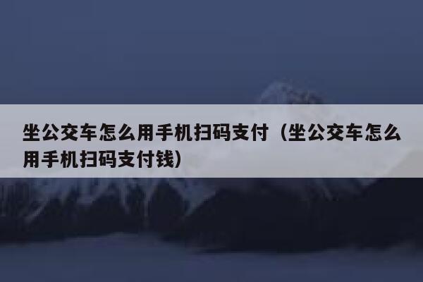 坐公交车怎么用手机扫码支付（坐公交车怎么用手机扫码支付钱） 第1张