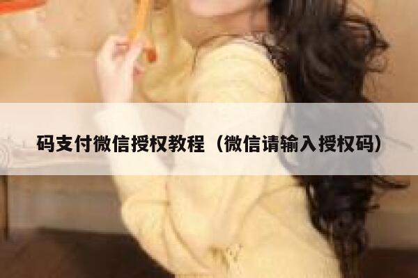 码支付微信授权教程（微信请输入授权码） 第1张