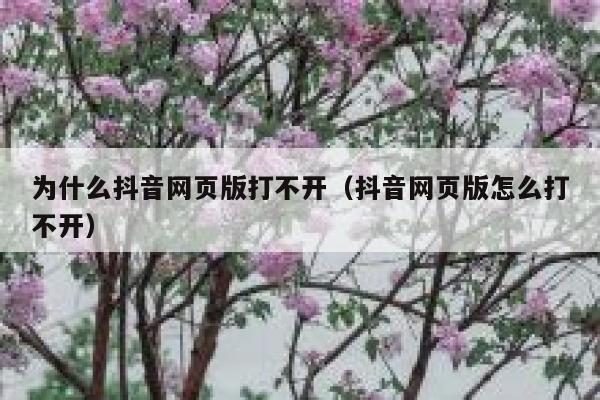 为什么抖音网页版打不开（抖音网页版怎么打不开） 第1张