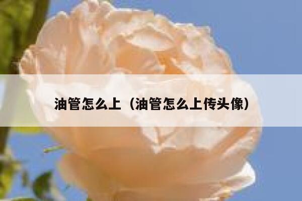 油管怎么上（油管怎么上传头像） 第1张