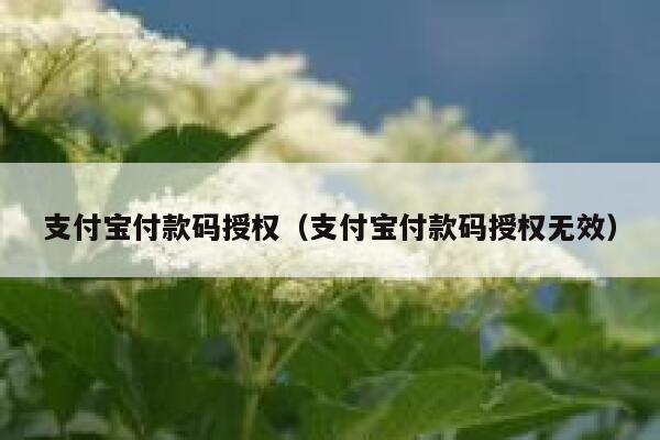支付宝付款码授权（支付宝付款码授权无效） 第1张