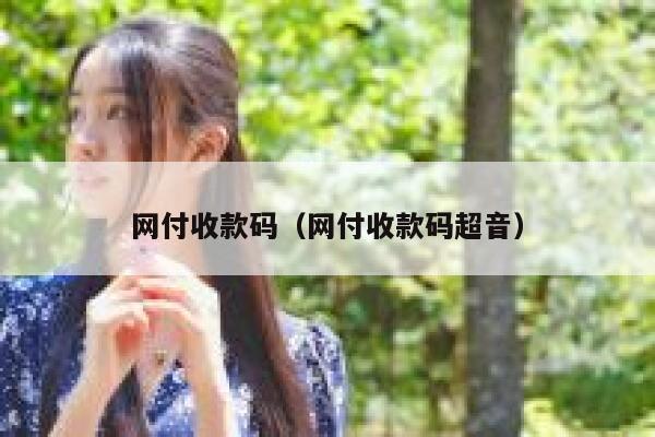 网付收款码（网付收款码超音） 第1张