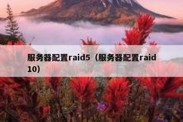 服务器配置raid5（服务器配置raid10） 第1张