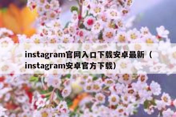 instagram官网入口下载安卓最新（instagram安卓官方下载） 第1张