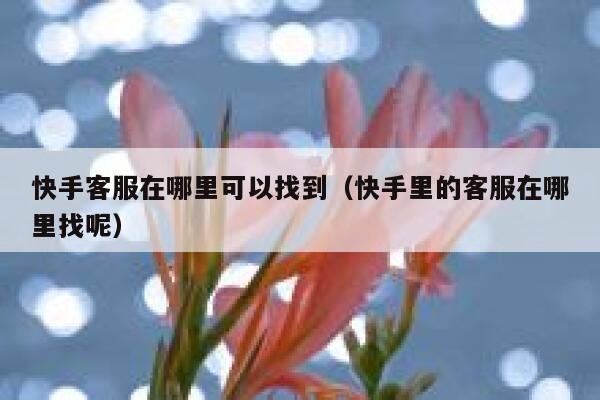 快手客服在哪里可以找到（快手里的客服在哪里找呢） 第1张