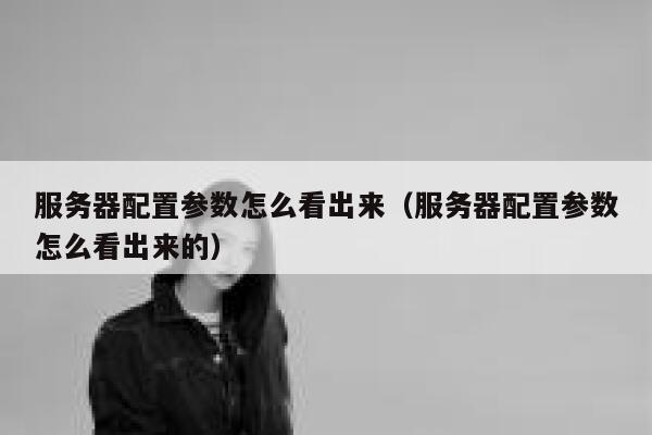 服务器配置参数怎么看出来（服务器配置参数怎么看出来的） 第1张