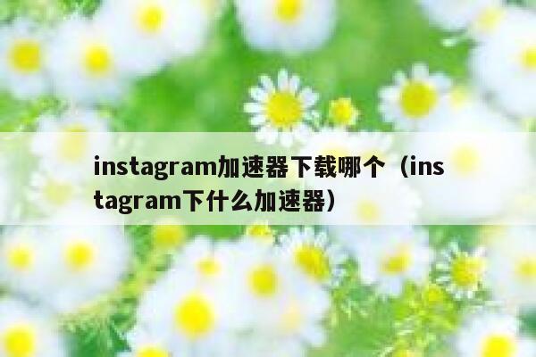 instagram加速器下载哪个（instagram下什么加速器） 第1张