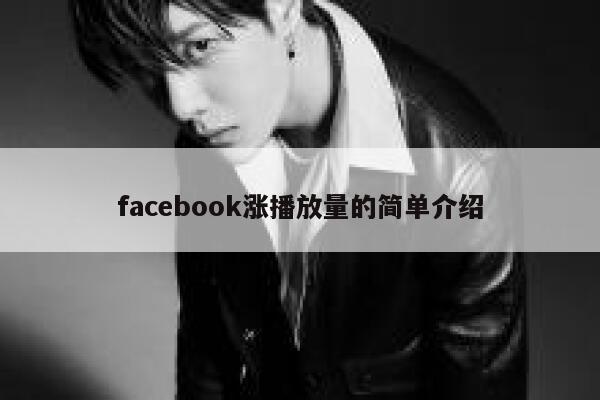 facebook涨播放量的简单介绍 第1张