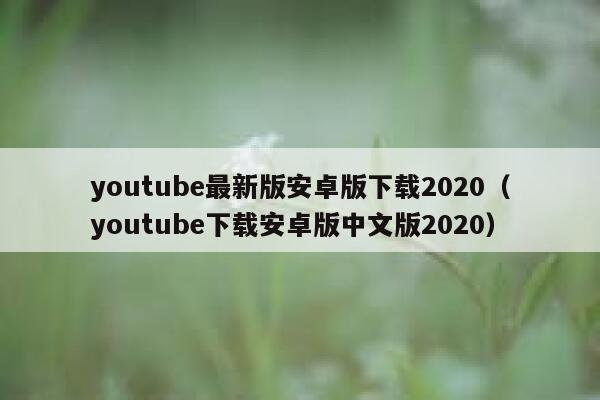 youtube最新版安卓版下载2020（youtube下载安卓版中文版2020） 第1张