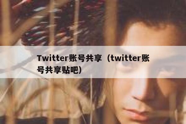 Twitter账号共享（twitter账号共享贴吧） 第1张
