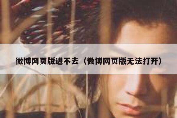 微博网页版进不去（微博网页版无法打开） 第1张