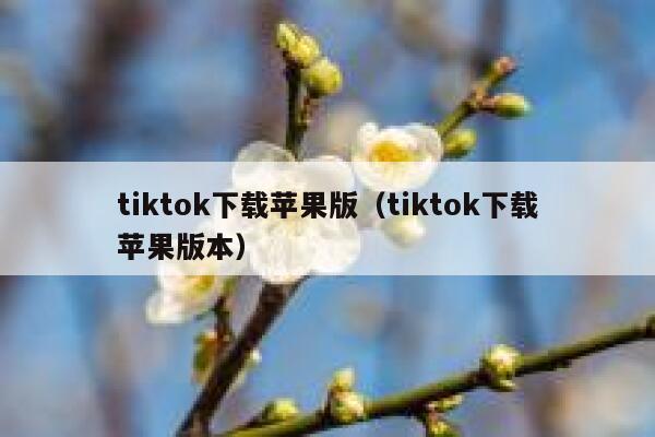 tiktok下载苹果版（tiktok下载苹果版本） 第1张
