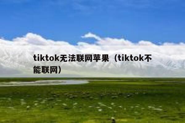 tiktok无法联网苹果（tiktok不能联网） 第1张