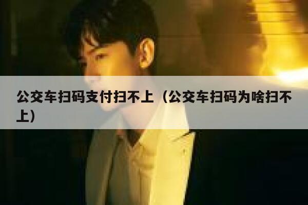 公交车扫码支付扫不上（公交车扫码为啥扫不上） 第1张