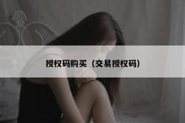 授权码购买（交易授权码） 第1张