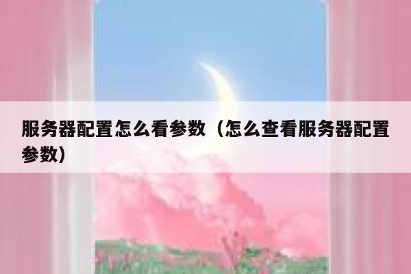 服务器配置怎么看参数（怎么查看服务器配置参数） 第1张