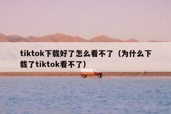 tiktok下载好了怎么看不了（为什么下载了tiktok看不了） 第1张
