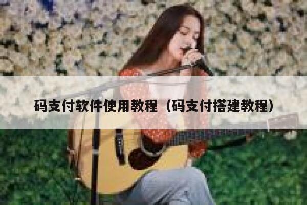 码支付软件使用教程（码支付搭建教程） 第1张