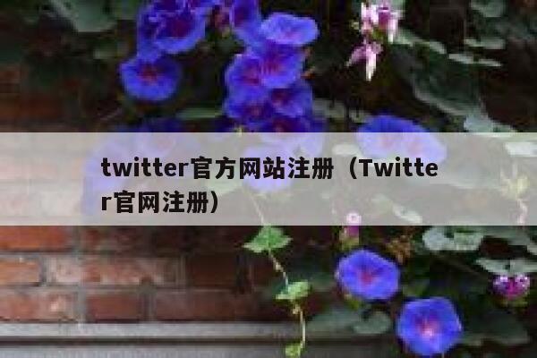 twitter官方网站注册（Twitter官网注册） 第1张
