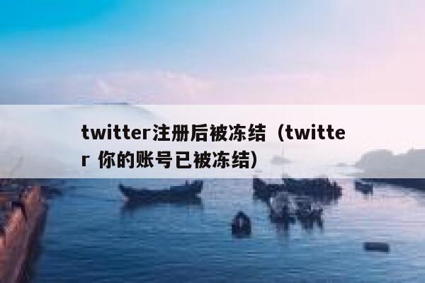 twitter注册后被冻结（twitter 你的账号已被冻结） 第1张