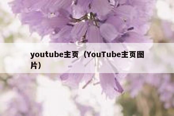 youtube主页（YouTube主页图片） 第1张