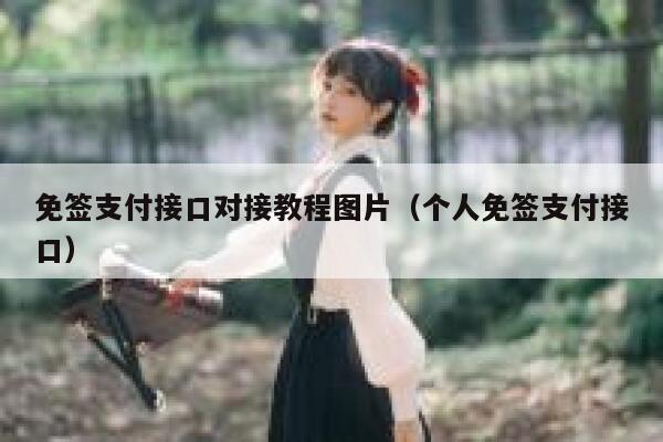 免签支付接口对接教程图片（个人免签支付接口） 第1张