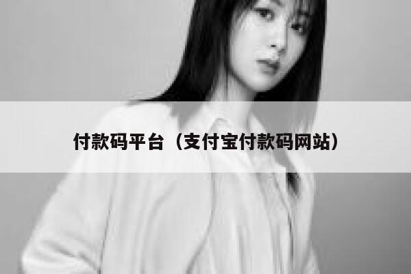 付款码平台（支付宝付款码网站） 第1张