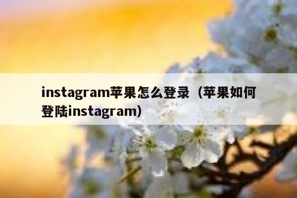 instagram苹果怎么登录（苹果如何登陆instagram） 第1张