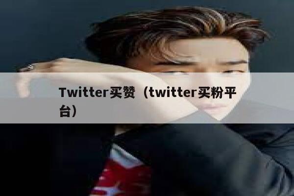 Twitter买赞（twitter买粉平台） 第1张