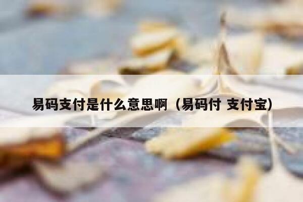 易码支付是什么意思啊（易码付 支付宝） 第1张