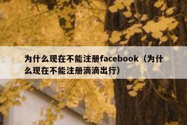 为什么现在不能注册facebook（为什么现在不能注册滴滴出行） 第1张