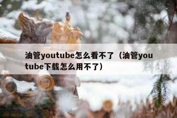 油管youtube怎么看不了(油管youtube下载怎么用不了) 第1张 油管youtube怎么看不了(油管youtube下载怎么用不了) 第1张