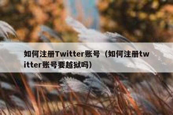 如何注册Twitter账号（如何注册twitter账号要越狱吗） 第1张