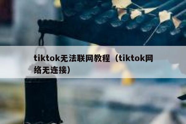 tiktok无法联网教程（tiktok网络无连接） 第1张