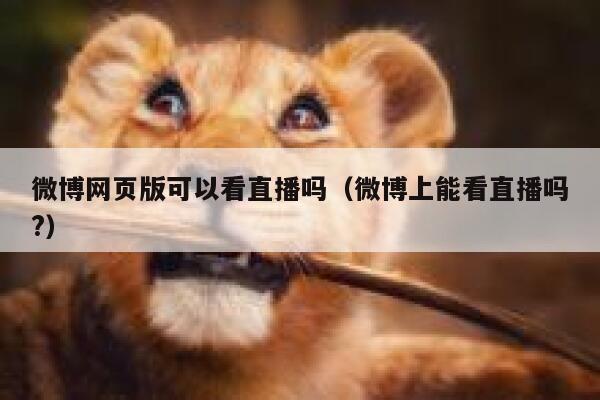 微博网页版可以看直播吗（微博上能看直播吗?） 第1张
