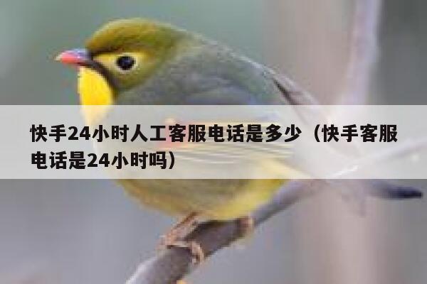 快手24小时人工客服电话是多少（快手客服电话是24小时吗） 第1张