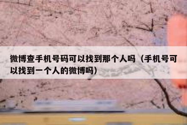 微博查手机号码可以找到那个人吗（手机号可以找到一个人的微博吗） 第1张