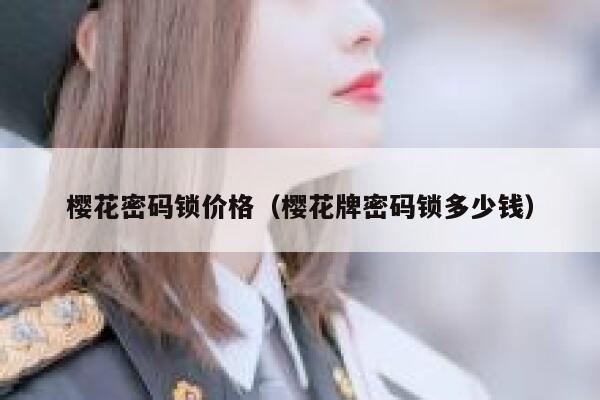 樱花密码锁价格（樱花牌密码锁多少钱） 第1张