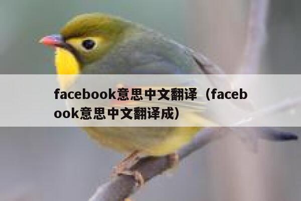 facebook意思中文翻译（facebook意思中文翻译成） 第1张