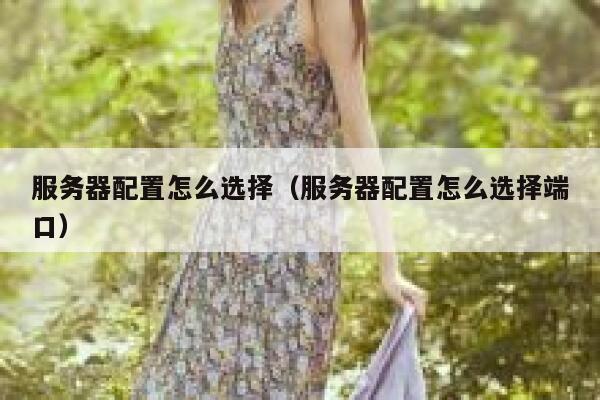 服务器配置怎么选择（服务器配置怎么选择端口） 第1张
