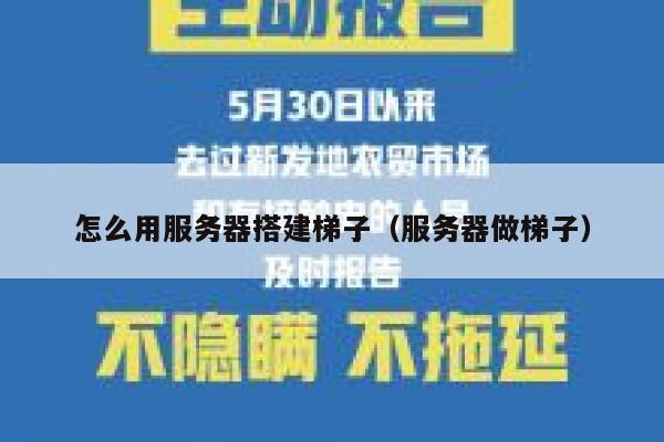 怎么用服务器搭建梯子（服务器做梯子） 第1张