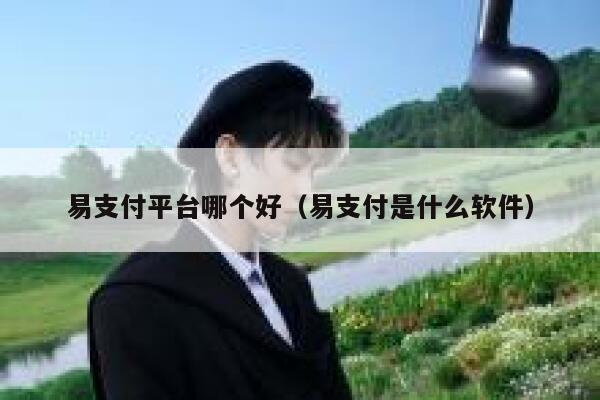 易支付平台哪个好（易支付是什么软件） 第1张