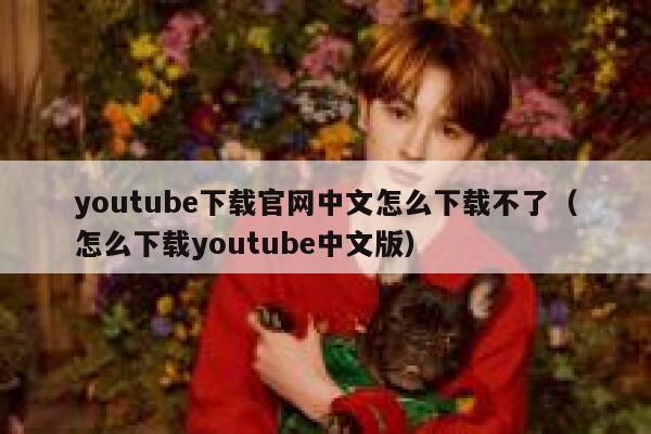 youtube下载官网中文怎么下载不了（怎么下载youtube中文版） 第1张